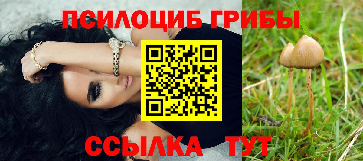 Соликамск  где можно купить   Вход с VPN  Псилоцибиновые грибы GOLDEN TEACHER 